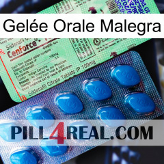 Gelée Orale Malegra new02
